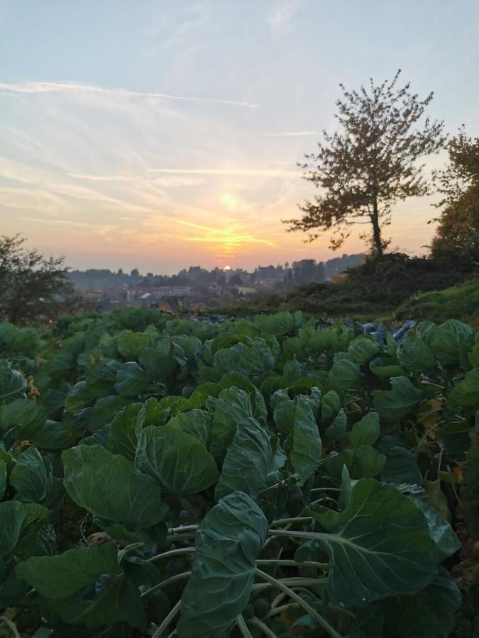Agriturismo Teresa Delle Fragole Vigano Zewnętrze zdjęcie